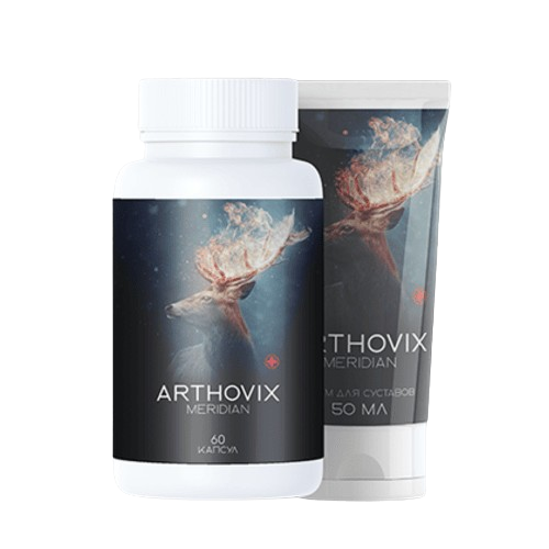Arthovix Meridian Комплекс
