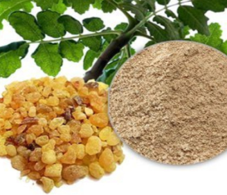 Boswellia Serrata